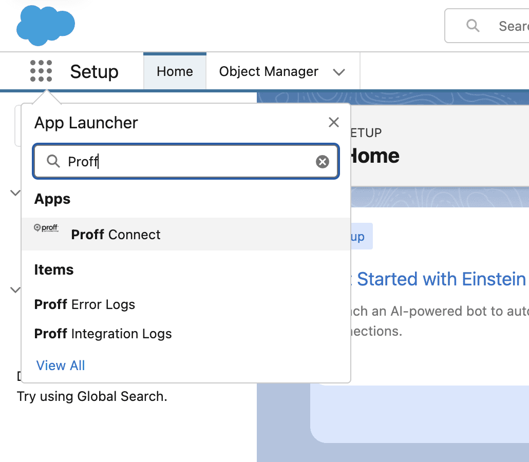 Proff Connect application in Salesforce