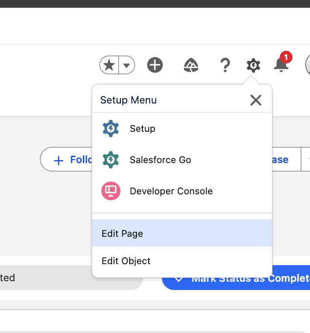 Setup icon and Edit Page option on Lead record